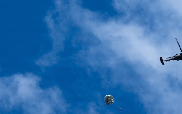 Joint Airborne Operations: DLA Distribution riggers join 148th ASOS to conduct static line jump