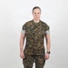 USMC Stock Photos