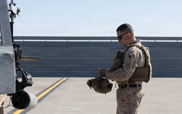 Marines coordinate close air support during Exercise Garnet Rattler