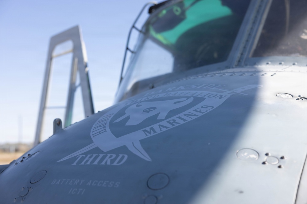 Marines coordinate close air support during Exercise Garnet Rattler