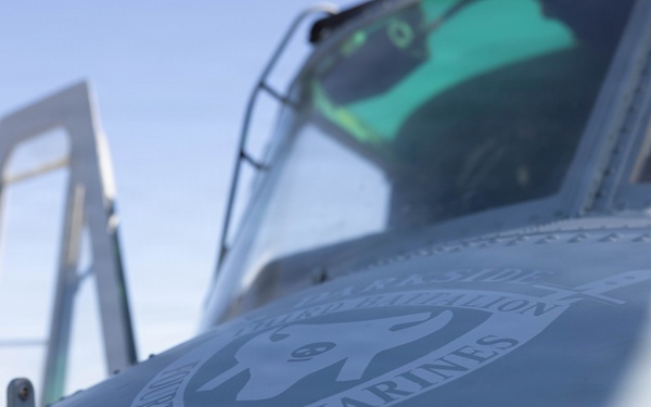 Marines coordinate close air support during Exercise Garnet Rattler