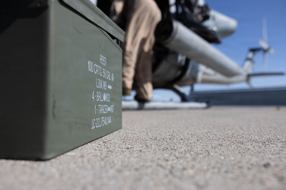 Marines coordinate close air support during Exercise Garnet Rattler
