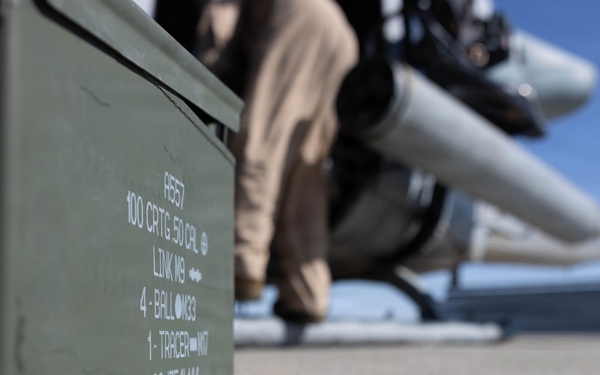 Marines coordinate close air support during Exercise Garnet Rattler