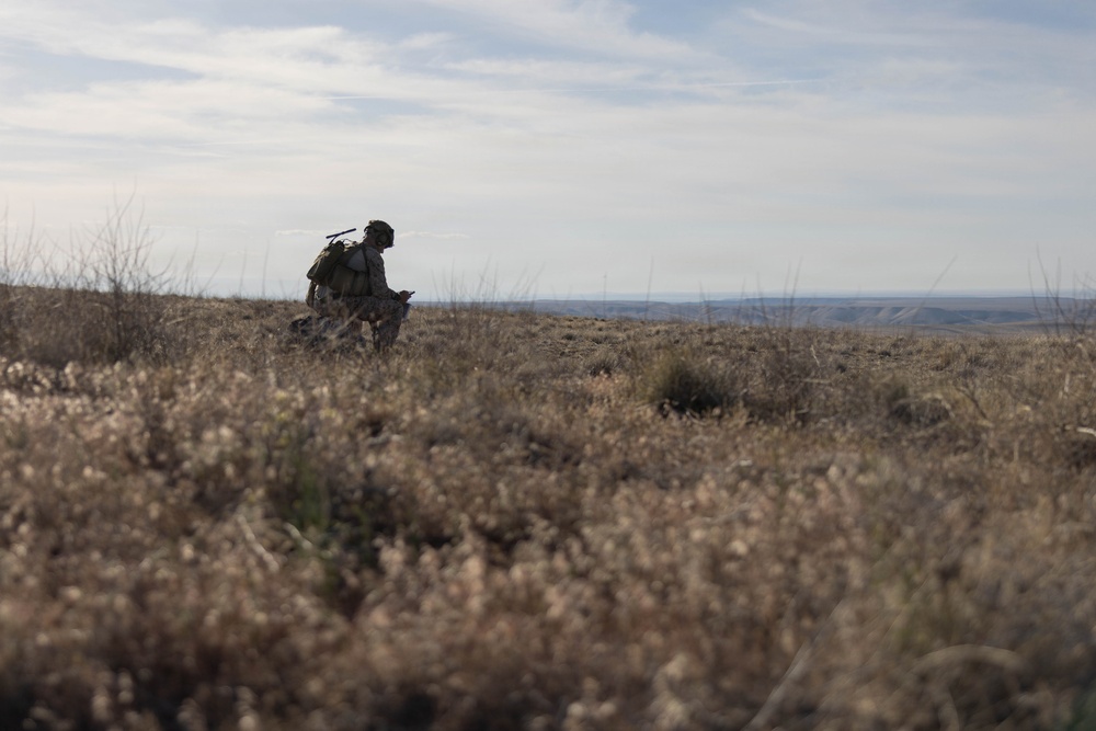 Marines coordinate close air support during Exercise Garnet Rattler