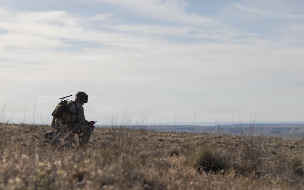 Marines coordinate close air support during Exercise Garnet Rattler