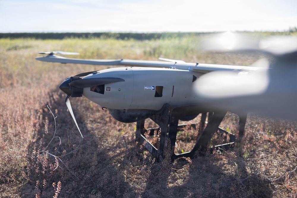 U.S. Marines coordinate close air support during Exercise Garnet Rattler