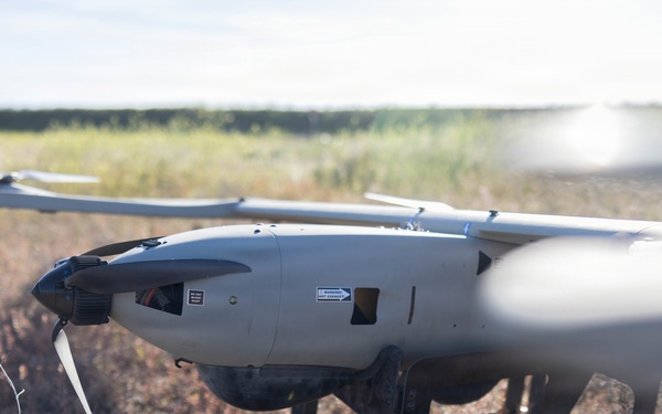 U.S. Marines coordinate close air support during Exercise Garnet Rattler