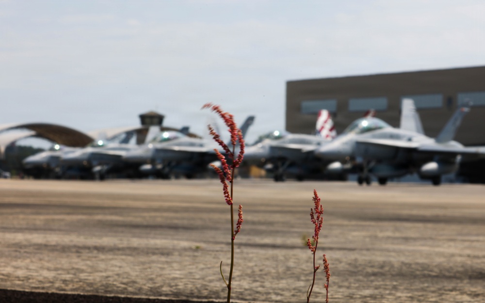VMFA-312 Fly the Barn