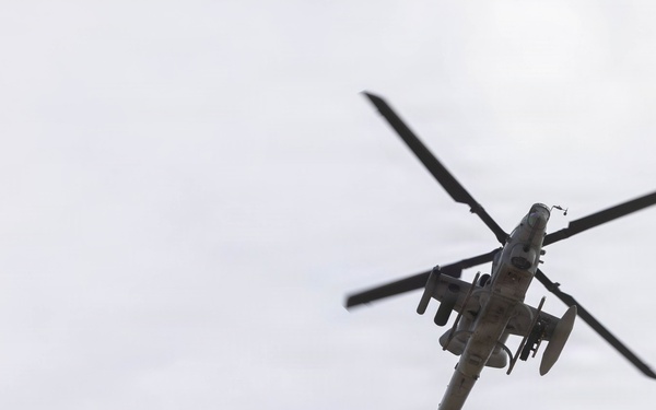 U.S. Marines coordinate close air support during Exercise Garnet Rattler