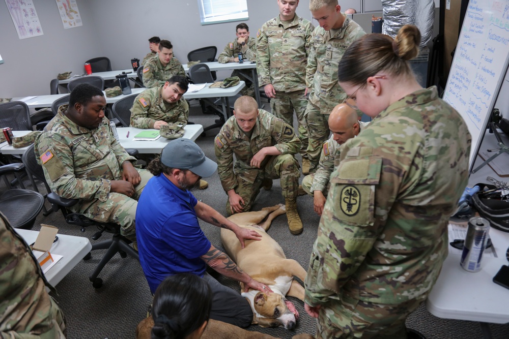 BACH Medics, 101st Soldiers Complete High-Stress Trauma Training