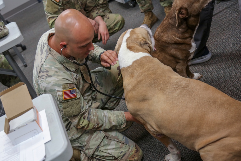 BACH Medics, 101st Soldiers Complete High-Stress Trauma Training