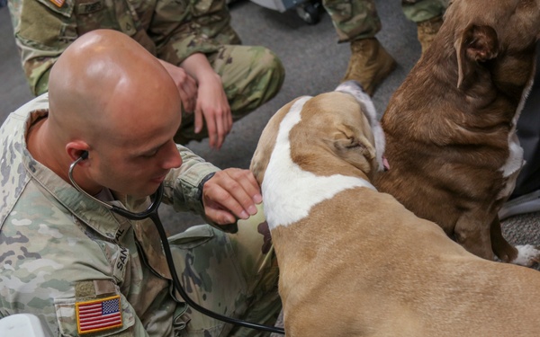 BACH Medics, 101st Soldiers Complete High-Stress Trauma Training