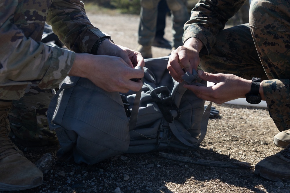 CLB-24 executes joint NATO EOD and CBRN training