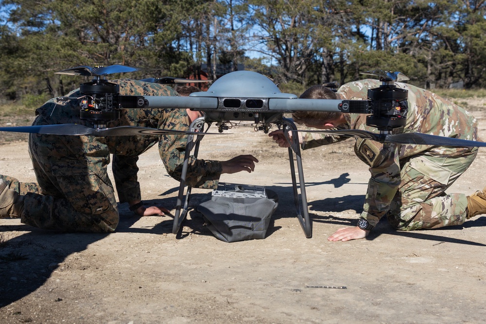 CLB-24 executes joint NATO EOD and CBRN training
