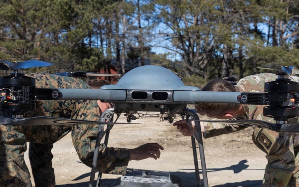 CLB-24 executes joint NATO EOD and CBRN training