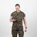 USMC Stock Photos