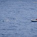 USS Iwo Jima Conducts Small Boat Operations