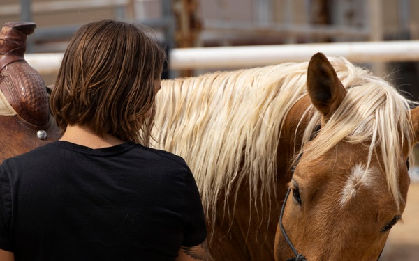 Mounted Color Guard Operations
