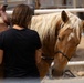 Mounted Color Guard Operations