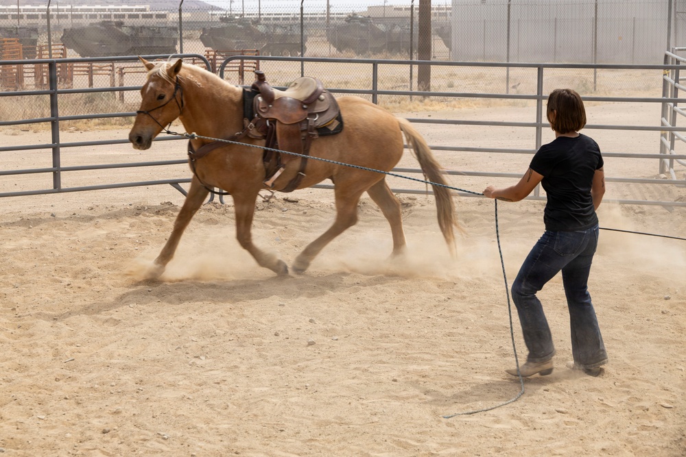 Mounted Color Guard Operations