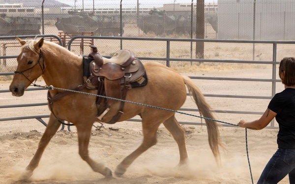 Mounted Color Guard Operations