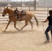 Mounted Color Guard Operations