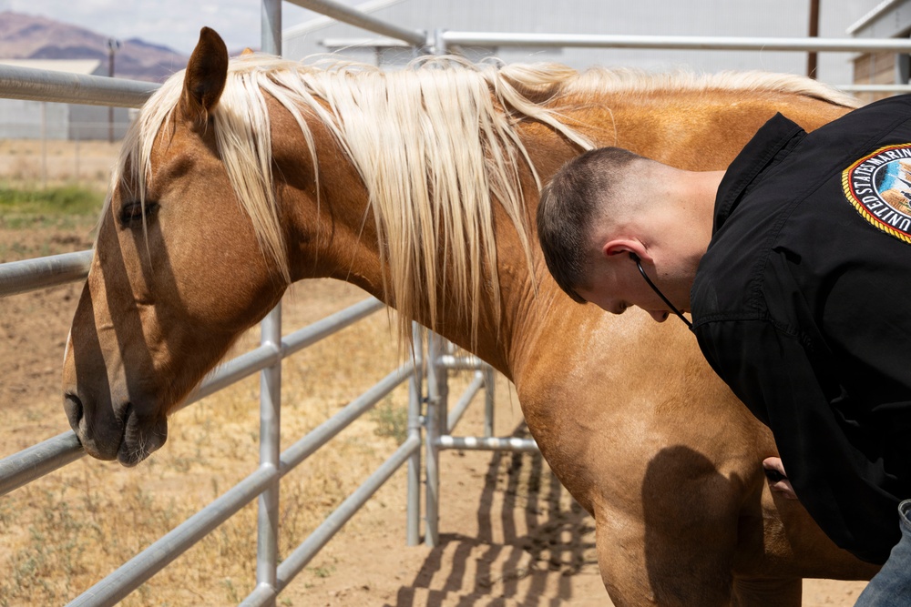 Mounted Color Guard Operations