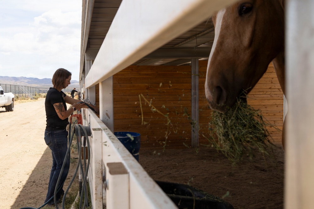 Mounted Color Guard Operations