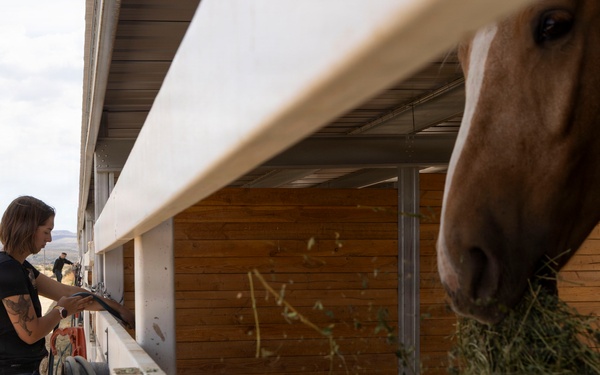 Mounted Color Guard Operations