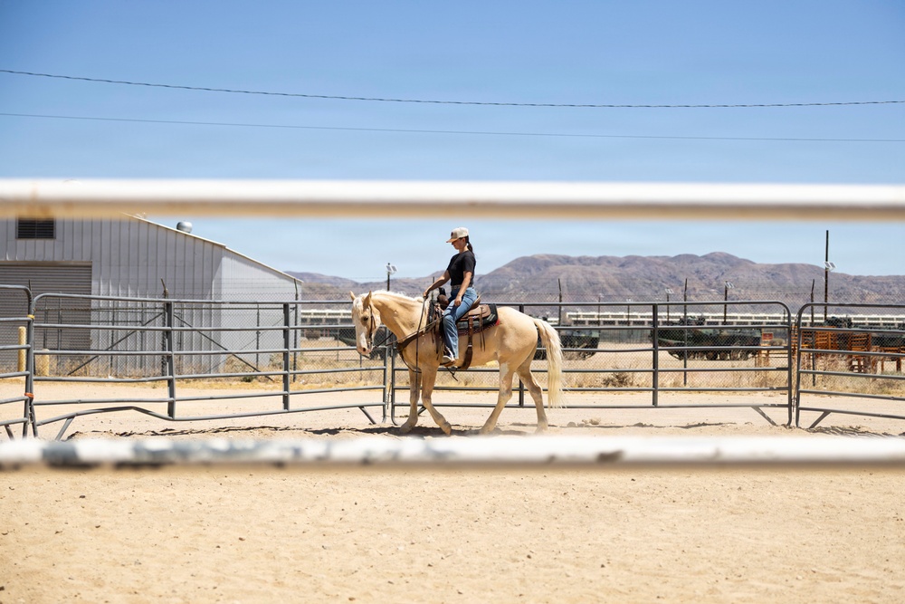 Mounted Color Guard Operations