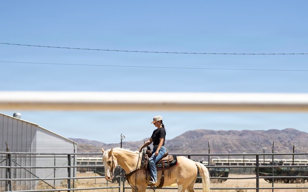 Mounted Color Guard Operations