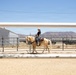 Mounted Color Guard Operations