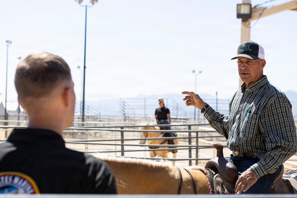 Mounted Color Guard Operations