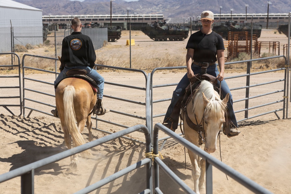 Mounted Color Guard Operations