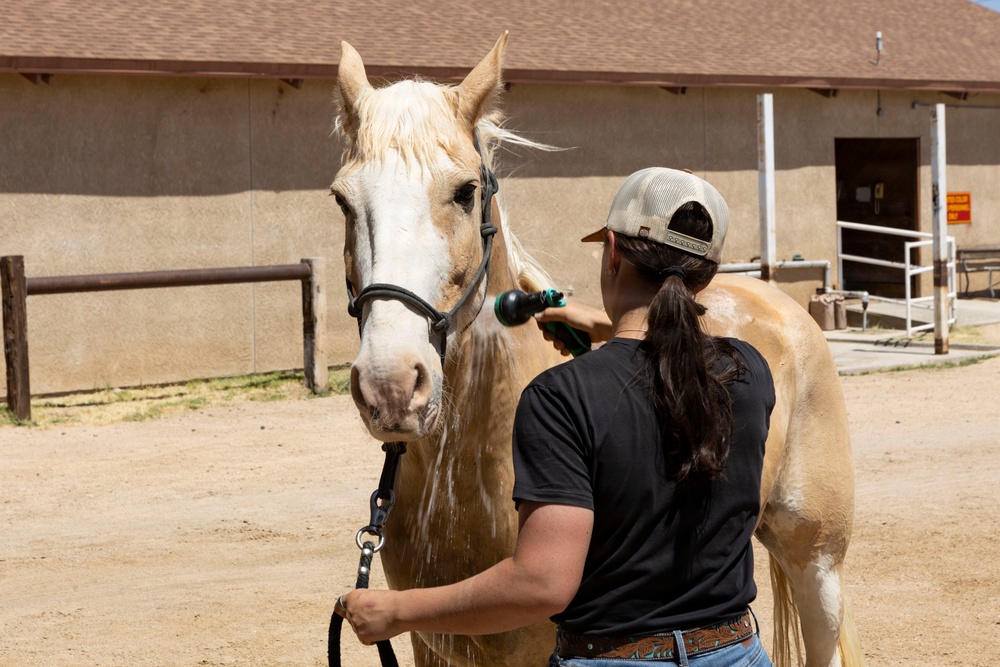 Mounted Color Guard Operations