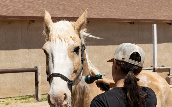 Mounted Color Guard Operations