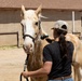 Mounted Color Guard Operations