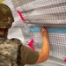 Mosaic Lightning 26-2 tests 355th Wing medical response capabilities