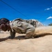 NJ BWC: NATO Standard Obstacle Course