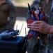 U.S. Marines with MRF-D participate in SME exchange with partner nation during Exercise Tagata Toa 26