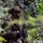 Exercise Tagata Toa 26: MRF-D Marines, FANC conduct platoon attack drill Exercise Tagata Toa 26: MRF-D Marines, FANC conduct platoon attack drill