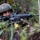 Exercise Tagata Toa 26: MRF-D Marines, FANC conduct platoon attack drill Exercise Tagata Toa 26: MRF-D Marines, FANC conduct platoon attack drill