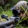 Exercise Tagata Toa 26: MRF-D Marines, FANC conduct platoon attack drill Exercise Tagata Toa 26: MRF-D Marines, FANC conduct platoon attack drill