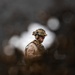 11th MEU Marines, Sailors Conduct Combat Marksmanship Training Aboard USS Comstock