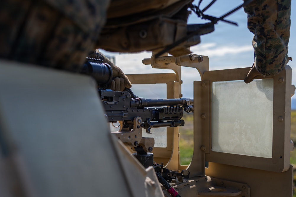 U.S. Marines execute machine gun range in Sweden