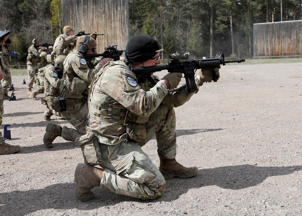 NYNG, Swedish Armed Forces train together during Northern Lights 26