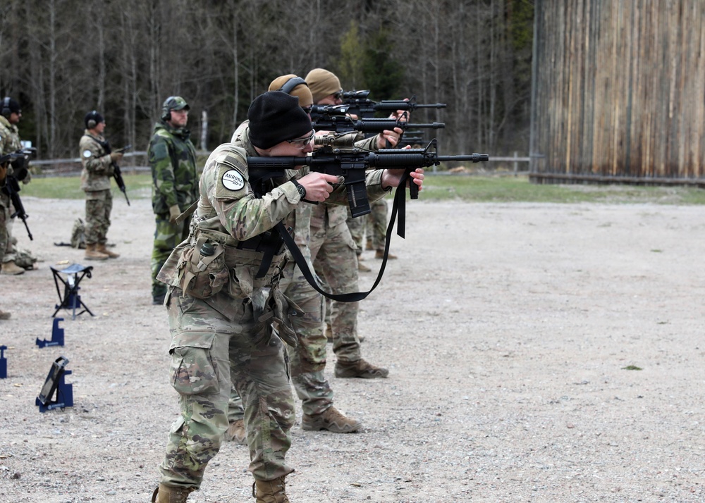 NYNG, Swedish Armed Forces train together during Northern Lights 26