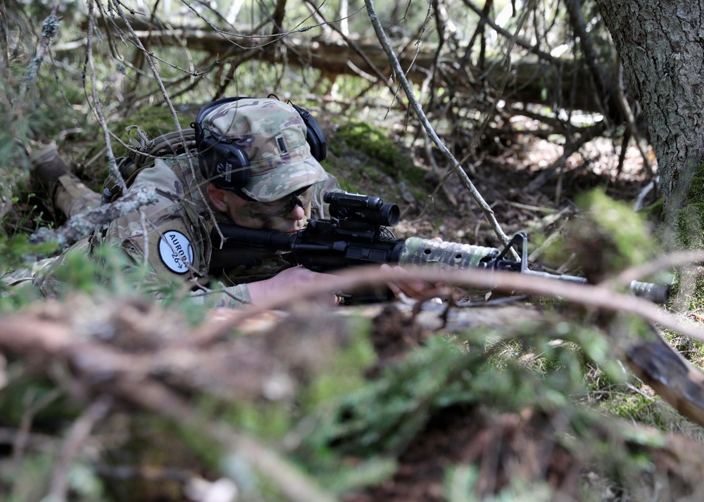 NYNG, Swedish Armed Forces train together during Northern Lights 26
