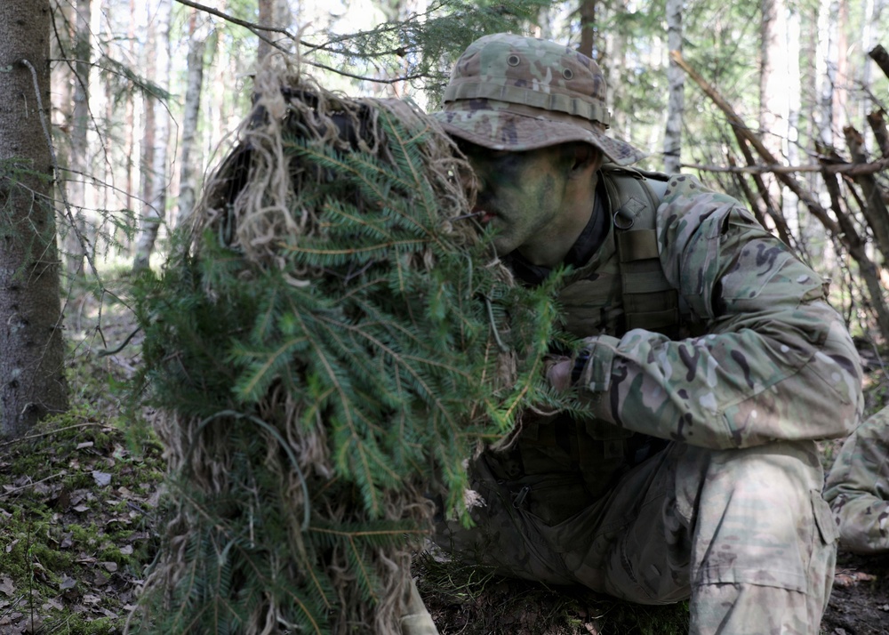 NYNG, Swedish Armed Forces train together during Northern Lights 26