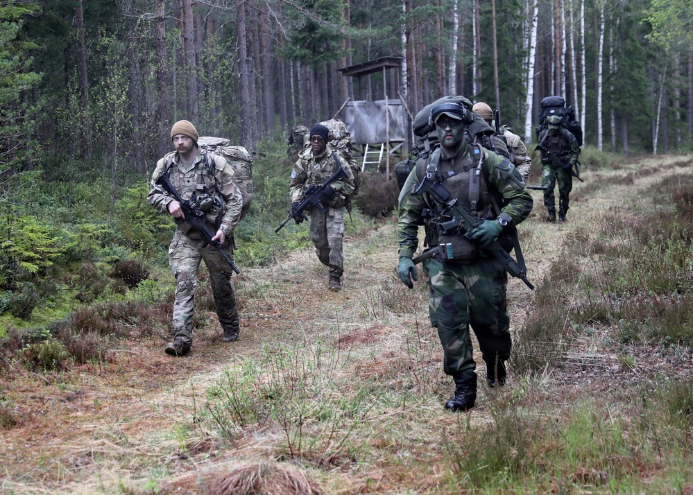 NYNG, Swedish Armed Forces train together during Northern Lights 26